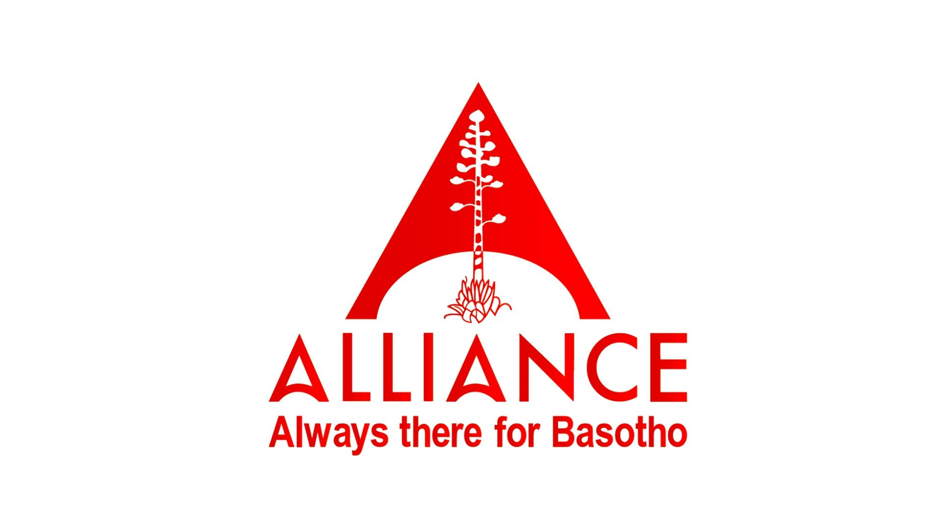 Alliance Insurance